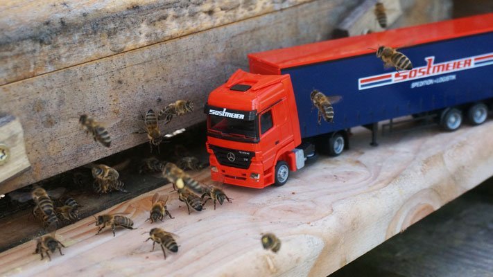 Eigener Honig von unserem Standort in Flieden.